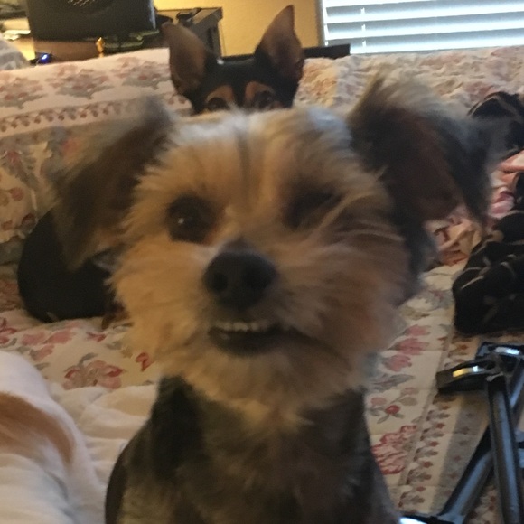 Meet your Posher, Trent - Picture 1 of 1